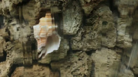 Abstract waterfall stones rock shell Stock Footage 79225710