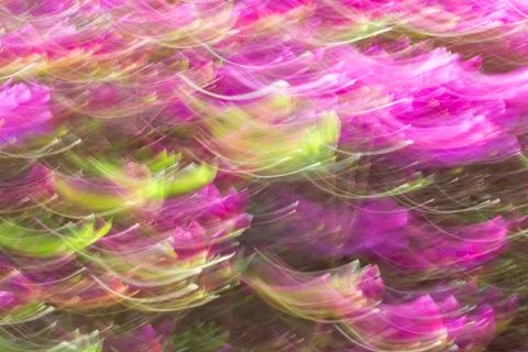 Abstract wave background image of azalea flowers with a motion blur effect 스톡 사진