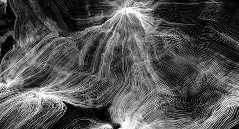 Abstract wave of digital weave lines connecting network dots and dark background Stock Photos