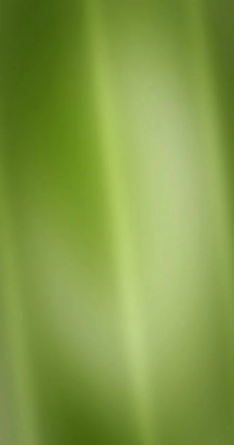 Abstract wave gradient animated background with lime mid colors Stock Footage 331214652
