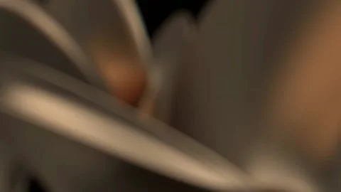 Abstract wave motion of graphic elements Stock Footage 151774078