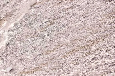 Abstract wave pattern from the beach for background Stock Photos