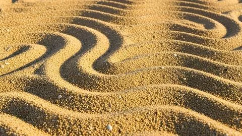Abstract wave pattern of brown sand and green grass in a modern garden land.. Fotos de archivo