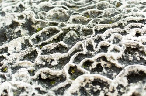 Abstract waveform texture stone surface with traces of erosion. Gray Black White Foto stock