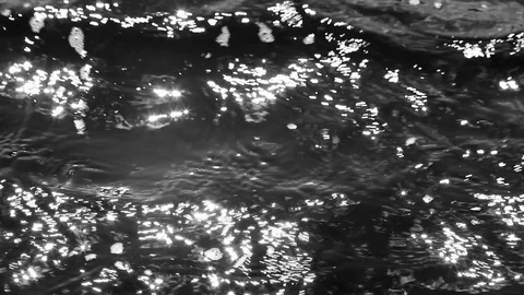 Abstract waves on the lake Stock Footage 109090565