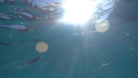 Abstract waves rippling in a pool at a hotel resort, super slow motion. Stock Footage 71242580