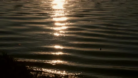 Abstract waves on sunsets golden river flow view in autumn sunset Stock Footage 160835602