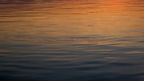 Abstract waves on sunsets golden river flow view in autumn sunset Stock Footage 160835801