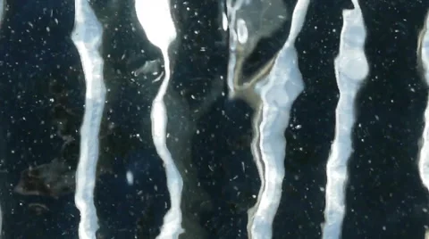 Abstract Waves Water Flow Grid Fractal Bubbles Stock Footage