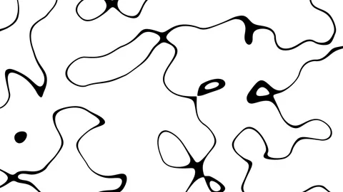 Abstract Waving black lines on white Background. Looping 4k animation of an Video stock 262568589