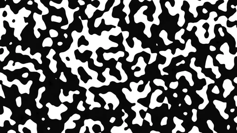 Abstract Waving black lines on white Background. Looping 4k animation of an Video stock 262782263