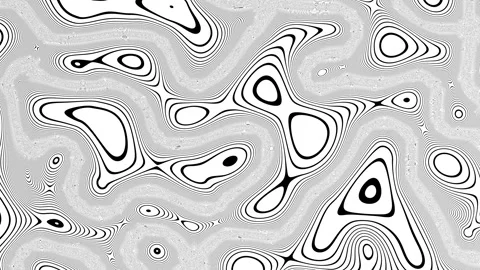 Abstract Waving black lines on white Background. Looping 4k animation of an Video stock 262784601