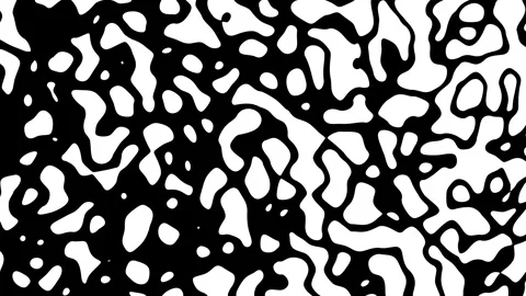 Abstract Waving black lines on white Background. Looping 4k animation of an Video stock 263040946