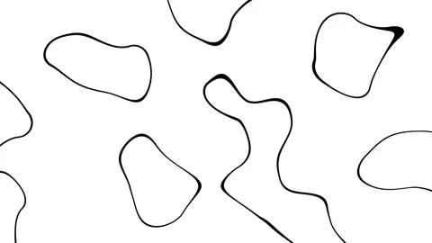 Abstract Waving black lines on white Background. Looping 4k animation of an Video stock 263047961