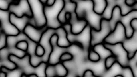 Abstract Waving defocused black lines on white Background. Looping 4k animation Video stock 262571412