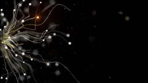 Abstract waving lines, glowing lights, dots and stars evolving Video stock 70521854