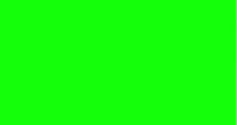 Abstract wavy animation for intro, outro or transitions. Liquid color shapes Stock Footage 233304525
