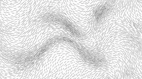 Abstract wavy background texture with gray swirling lines on white surface. Stock Illustration