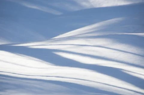 Abstract wavy blue tree shadows on the snow Stock Photos