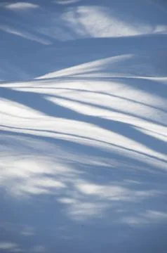 Abstract wavy blue tree shadows on the snow Stock Photos
