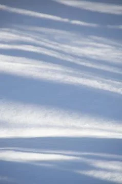Abstract wavy blue tree shadows on the snow Stock Photos