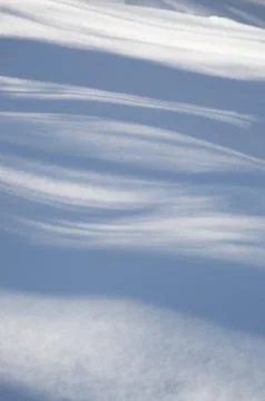 Abstract wavy blue tree shadows on the snow Stock Photos