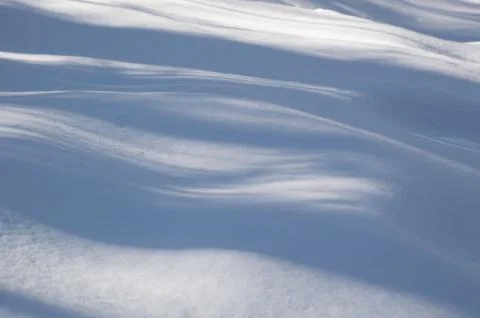 Abstract wavy blue tree shadows on the snow Stock Photos