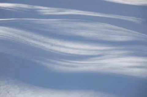 Abstract wavy blue tree shadows on the snow Stock Photos