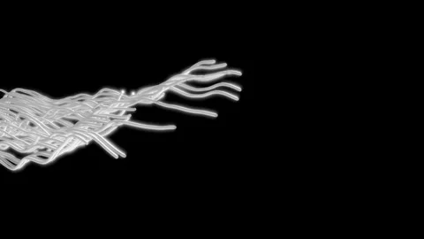 Abstract Wavy Glowing White Strings on a Black Background Stock Footage 314474508