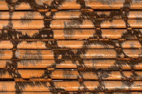 Abstract wavy lines.Grungy spotted pattern.African design. 스톡 일러스트