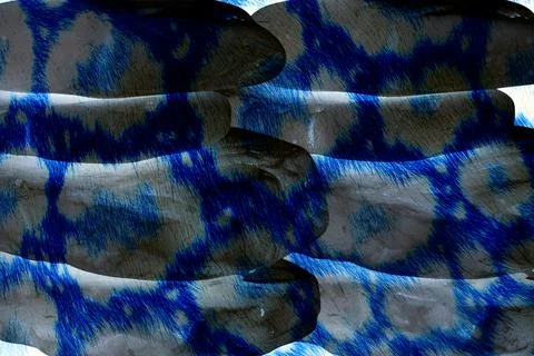 Abstract wavy lines.Grungy spotted pattern.African design. Illustrazione stock