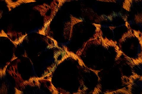 Abstract wavy lines.Grungy spotted pattern.African design. Illustrazione stock