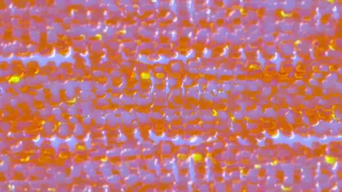 Abstract Wavy Movement of 3D Lines and Particles. 4K Stock Footage 296214946