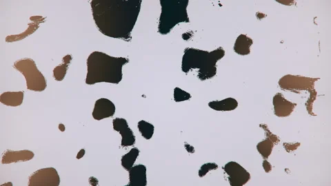 Abstract Wavy Sepia Colored Liquid Particles Motion Background Stock Footage 100466355