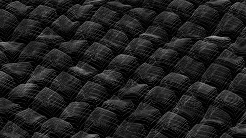 Abstract Wavy Wireframe Grid Surface 3D Motion Background Stock Footage 339291069