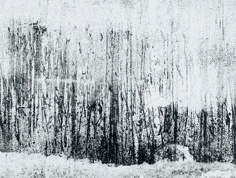 Abstract Weathered Wall Resembling Bare Forest Trees in Snow, Black and Whi.. Stock-Fotos