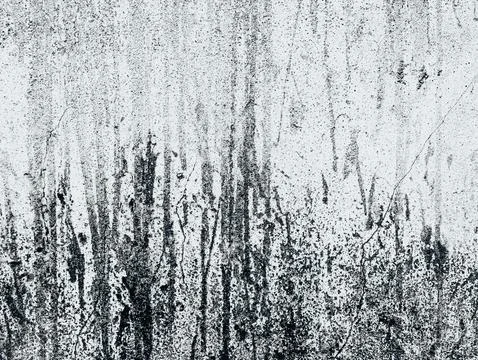 Abstract Weathered Wall Resembling Bare Forest Trees in Snow, Black and Whi.. Stock Photos