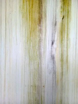 Abstract weathered wall texture with vertical green and brown stains on pal.. Stock Photos