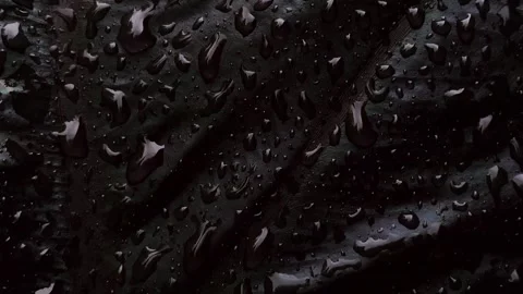 Abstract wet leaf dark drops video background Stock Footage 256180071