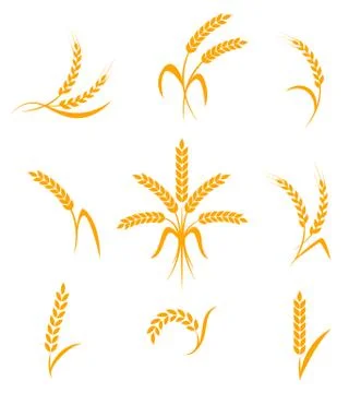 Abstract wheat ears icons Stock Illustration