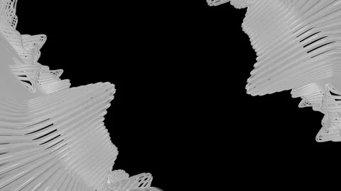 Abstract White 3D Flowing Ribbons Loop on Black Background Stock Footage 314170520