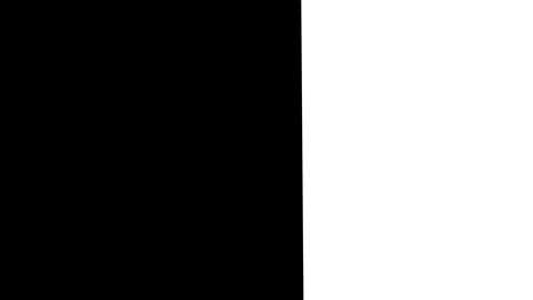 Abstract white and black background transition animation, dynamic digital g.. Stock Footage 335023177