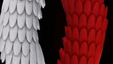 Abstract white and red wide tubes covered by shining bird feathers, seamless Stock Footage 124091179