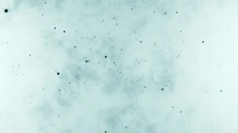 Abstract white background with dark blue flying particles Stock Footage 126284039