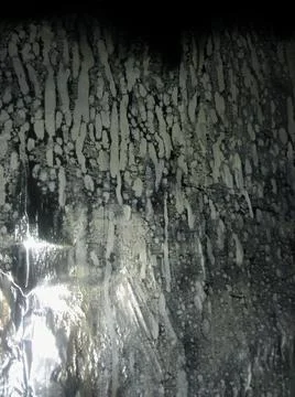 Abstract white background with different elements in blurry effect Foto stock