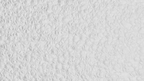 Abstract white background with fine shell structure in motion (FULL HD) Stock Footage 95840325