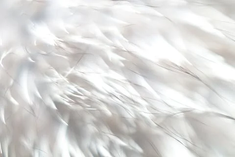 Abstract white background image with interesting texture which is very useful Stock Photos