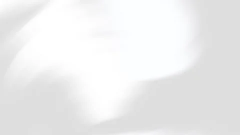 Abstract white background with soft gray brush strokes 動画素材 310664885