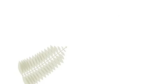 Abstract White Background with Subtle Texture - Clean Minimalist Design Eleme Stock Footage 346659657