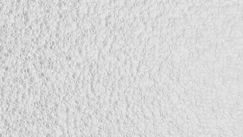 Abstract white background with very fine shell structure in motion (FULL HD) Vidéo 95843018